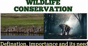 Wildlife Conservation : Definition, importance and Need