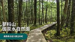 御泉水自然園トレッキングコース～長野県蓼科山 Gosensui Nature Park, Tateshina NAGANO