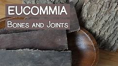 Eucommia Bark, A Tonic Herb for the Bones and Joints
