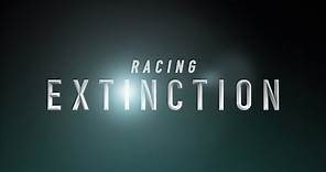 "Racing Extinction" Official Trailer