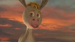 Donkey Ollie - Donkey Ollie Movies Ten Commandments....