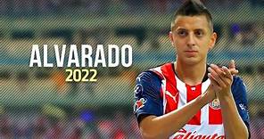 Roberto Alvarado • Mejores Jugadas y Goles 2022