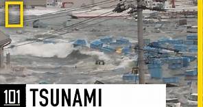 Tsunamis 101 | National Geographic