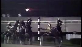1991 $200k George Morton Levy Final - Yonkers Raceway