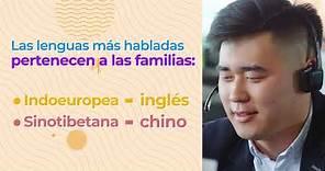 7. Qué es una familia lingüística y cuáles son las principales familias de idiomas del mundo