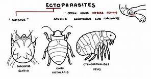 Parasites Overview