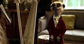 Official Interview with 'The Sun' starring Aleksandr Orlov Founder of Compare the Meerkat
