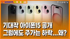 [9/13] 애플, 아이폰15 시리즈 공개 불구 주가 하락 [당잠사]