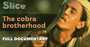 The cobra brotherhood | SLICE | Full documentary