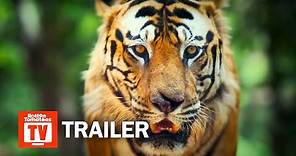 Big Beasts Documentary Series Trailer
