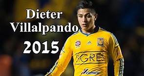 Dieter Villalpando / Goles - Asistencias - Jugadas / Tigres / 2015