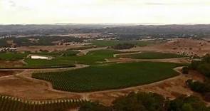 Three Sticks Winery | GAP'S CROWN VINEYARD, SONOMA COAST, SONOMA COUNTY, CA (full version)