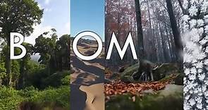 The Taiga Biome (Boreal Forest) - Biomes #7