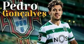 Pedro Gonçalves GOALS - Sporting 2023 - Ultimate Skills, Assists & Goals | HD
