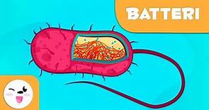 Cosa sono i batteri? – Scienza per bambini