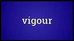 Vigour Meaning