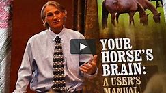 Your Horse's Brain: A User's Manual