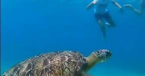 Fiji Islands - Travel Video - VacationNation