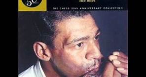 little walter- just your fool ( His Best, Chess 50th Anniversary Collection) # 20