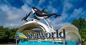 SeaWorld San Diego: Tickets, Hours, Fireworks, Discount Details for 2021