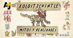 El xoloitzcuintle, mitos y realidades de una raza milenaria | AJ+ Español