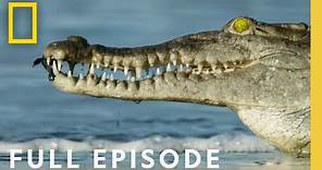 Oceans (Full Episode) | Hostile Planet