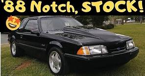 Stock 88 Mustang LX NotchBack Review *For Sale*