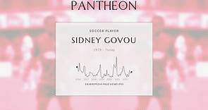 Sidney Govou Biography - French footballer