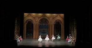 Swan Lake Act 3 Waltz of the Princesses