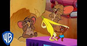 Tom & Jerry | Best Jerry Mouse Moments 🐭 | Classic Cartoon Compilation | @wbkids​