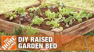 Small Garden Ideas