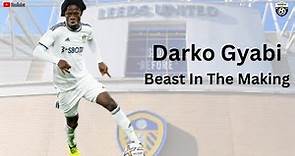 Darko Gyabi - Beast In The Making