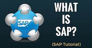 What is SAP? Why do we need ERP? Beginner Tutorial