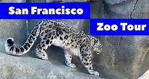 San Francisco Zoo Tour Highlights 2023