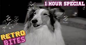 Lassie | 1 Hour Special | Full Episodes 🐕
