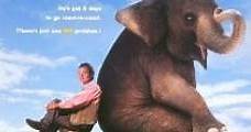 Un elefante llamado Vera (1996) Online - Película Completa en Español - FULLTV