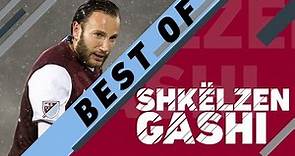 Shkelzen Gashi Best Goals and Highlights