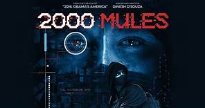 2000 Mules: Official Trailer