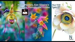 Macro Mastery: Alan Shapiro's Prismatic Photographic Visions (WEBINAR REPLAY 7/30/2020) @NOVOFLEXTV