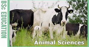 Discover Animal Sciences | WURtube