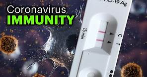 How Long Does COVID-19 Immunity Last?