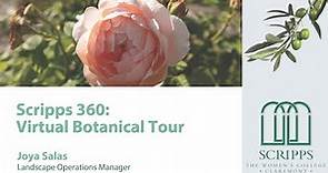 Scripps College: 360 Virtual Campus Botanical Tour