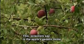 The Botany of Desire: Apples in the Wild (Accessible Preview)