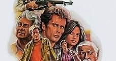 Violando la ley (1976) Online - Película Completa en Español - FULLTV