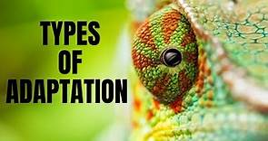 Types of Adaptation| Structural, Behavioral and Physiological Adaptation | Adaptations