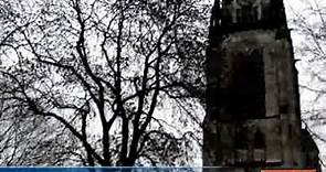 Kassel: 23 Bäume an der Lutherkirche sollen fallen