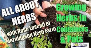 3/8: Growing Herbs in Containers & Pots - Morningsun Herb Farm's 8-video series "ALL ABOUT HERBS"