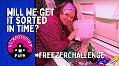 FREEZER CHALLENGE: Organizing Our Freezers Before The Pantry Challenge Cleanout And Tour (PART 1)