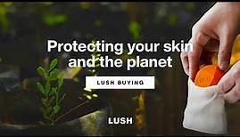 A Year in Review: Lush Ethical Buying