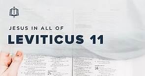 Leviticus 11 | Clean and Unclean Animals | Bible Study